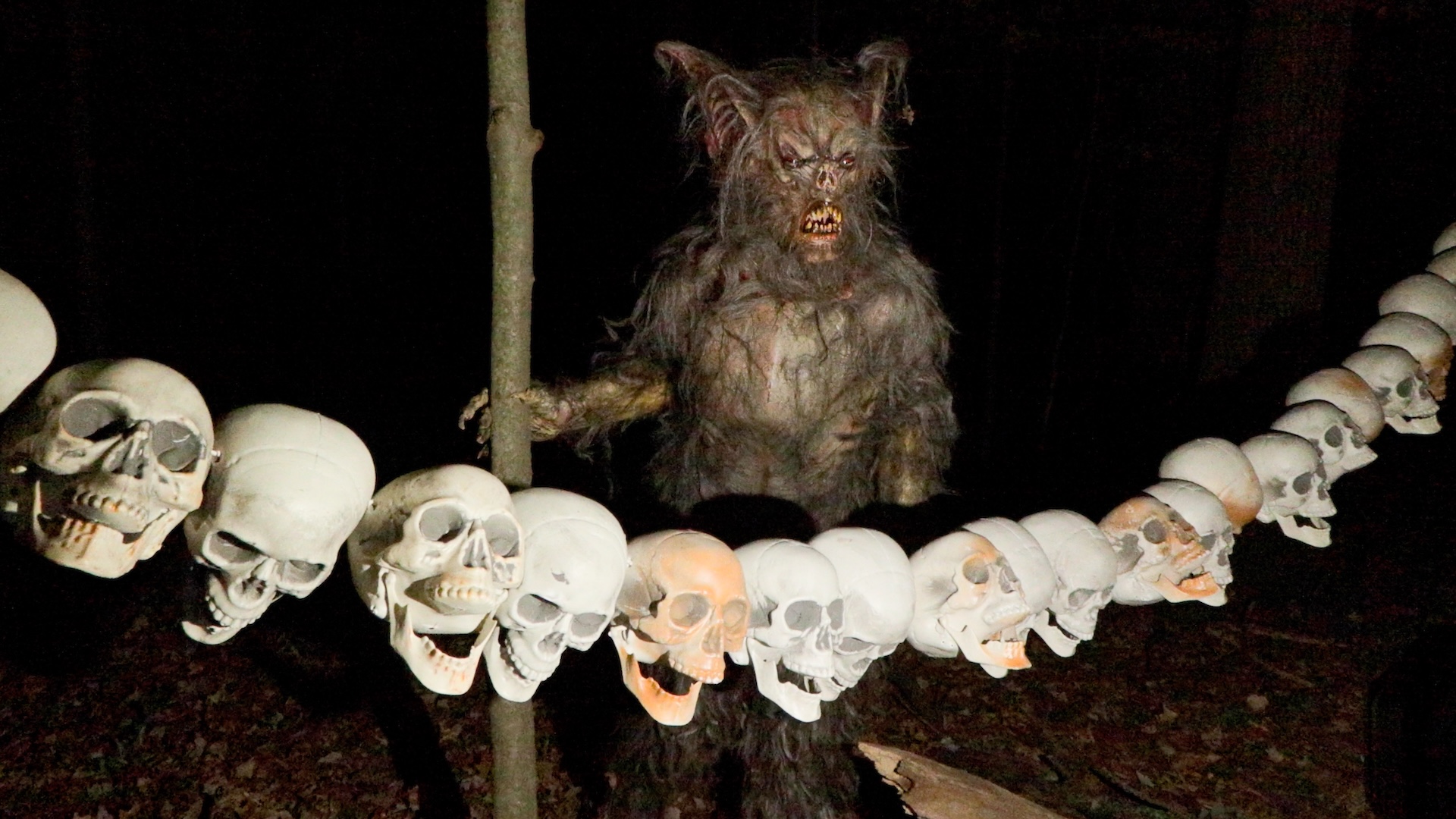 Thumbnail of video Boo by the Woods 2025